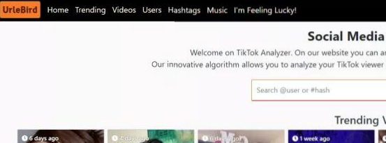 动感网络科技, TikTok在线观看网站，TikTok在线观看的有什么网站？
