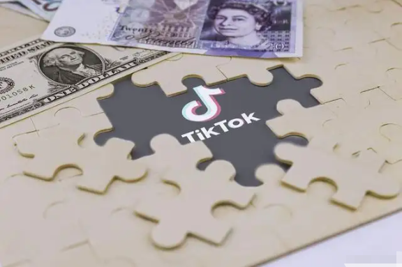 动感网络科技, TikTok赚钱其实很简单，一文告诉你TikTok月入过万