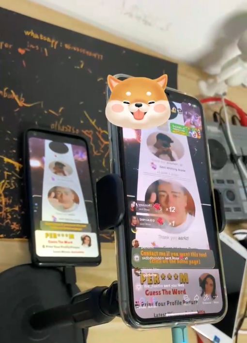 动感网络科技, 国内直播带货那么卷，TikTok出海直播的风口你抓住了吗？
