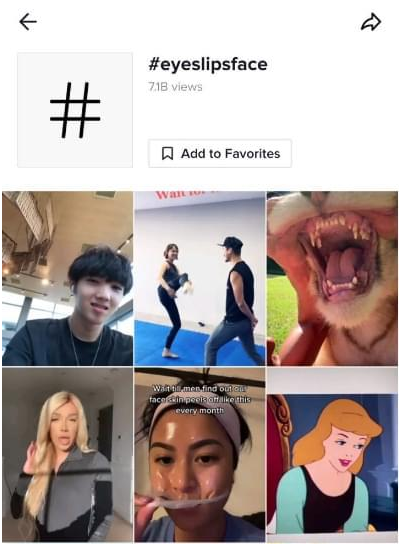 动感网络科技, tiktok美妆账号如何做，tiktok美妆推广方案