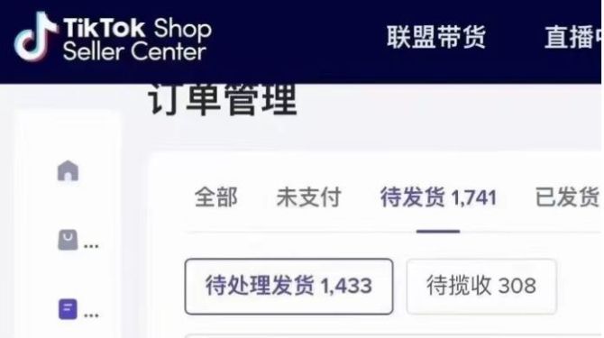 tiktok小店是风口吗？开店一年能赚多少钱？