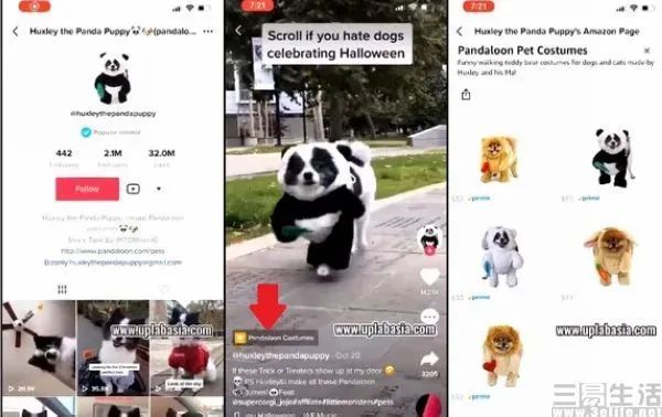 动感网络科技, TikTok向用户公开算法，透明也是一种力量