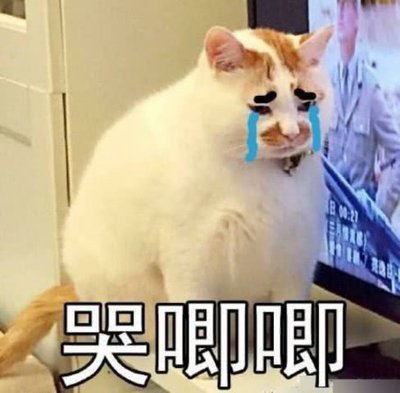 动感网络科技, 海外抖音安装注册好需要怎么做能赚钱？tiktok赚钱合法吗