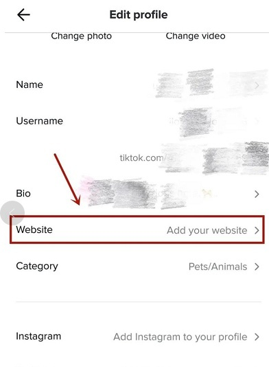 动感网络科技, tiktok跨境英国怎么带货？tiktok电商海外怎么带货