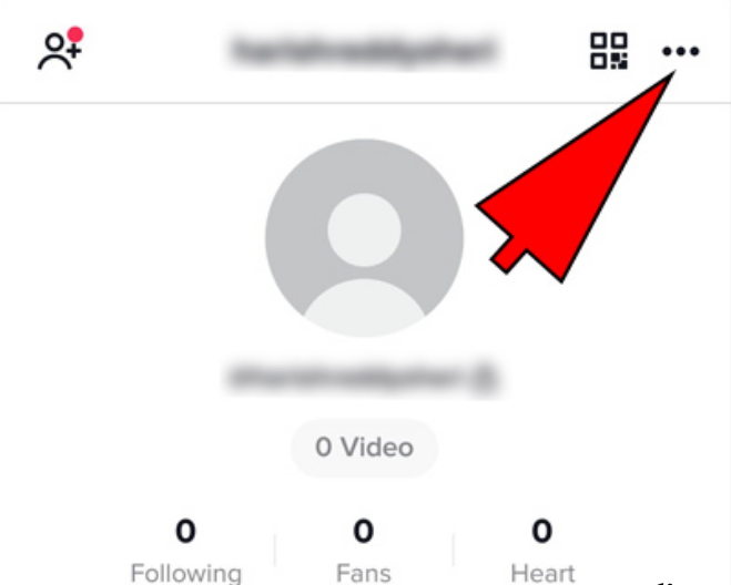 动感网络科技, tiktok怎么设置成人内容，抖音国际版有特殊内容吗