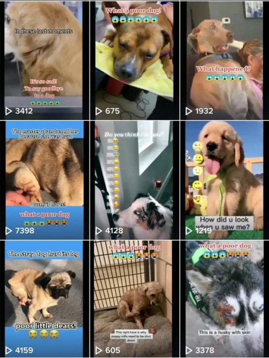 动感网络科技, tiktok防搬运有效方法，tiktok视频怎么防止查重