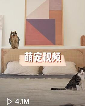 动感网络科技, 做tiktok不知道发什么内容？TikTok素材灵感分享