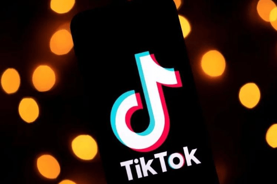 动感网络科技, 2023TikTok适合搬运的类目整理大全