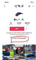 动感网络科技, tiktok导流独立站带货，tiktok引流独立站有人收么