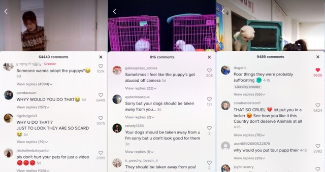 动感网络科技, Tiktok账号为什么做不起来？这些坑你踩了吗？