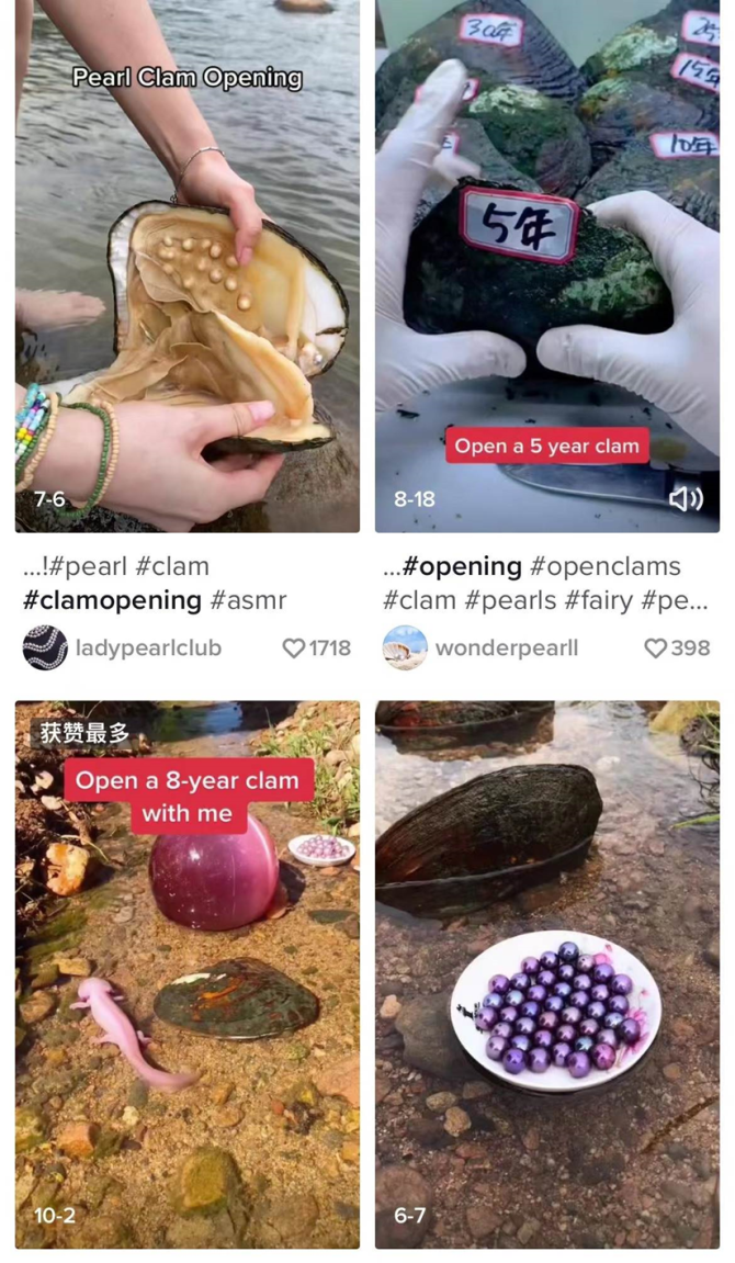 动感网络科技, TikTok根本赚不到钱，还不如教人赚钱！