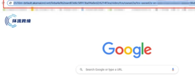 动感网络科技, TikTok小店直播回放，教你提取TikTok小店直播回放