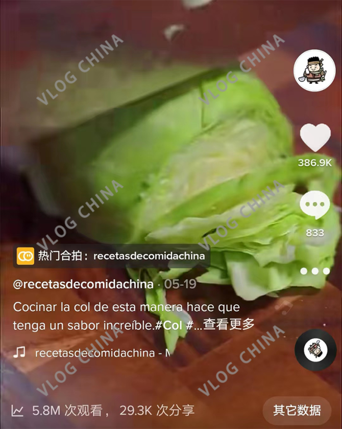 动感网络科技, 从易到难分享几种TikTok的变现方法