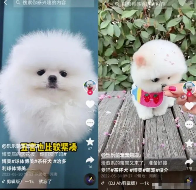 动感网络科技, 做海外抖音的是真的假的？国际抖音tiktok赚钱可靠吗