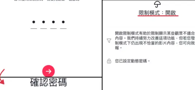 动感网络科技, tiktok限制模式是什么意思，tiktok限制内容怎么设置