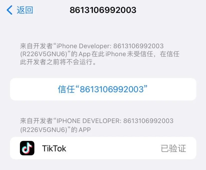 动感网络科技, 国内iPhone不拔卡使用TikTok教程