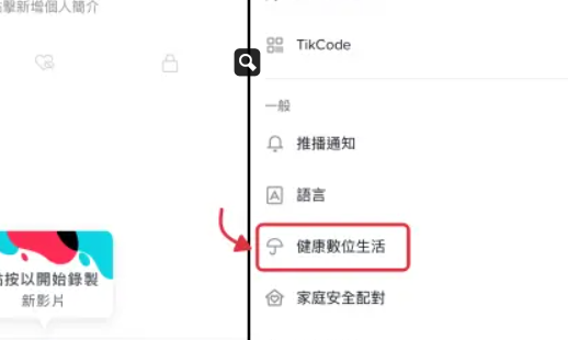 动感网络科技, tiktok限制模式是什么意思，tiktok限制内容怎么设置