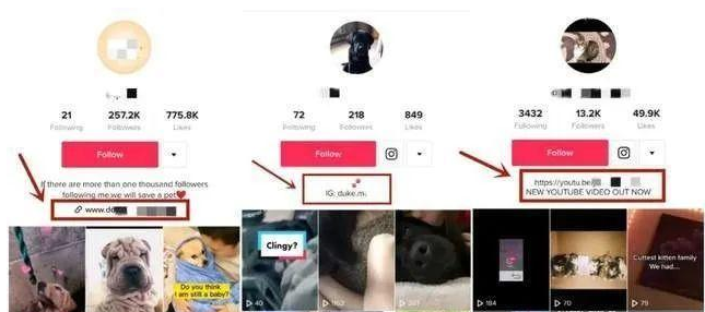 动感网络科技, tiktok电商如何备货，tiktok无货源跨境电商怎么做