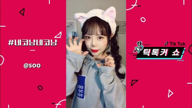 动感网络科技, TikTok有没有日本人的股份，国际版抖音为什么那么多日本人