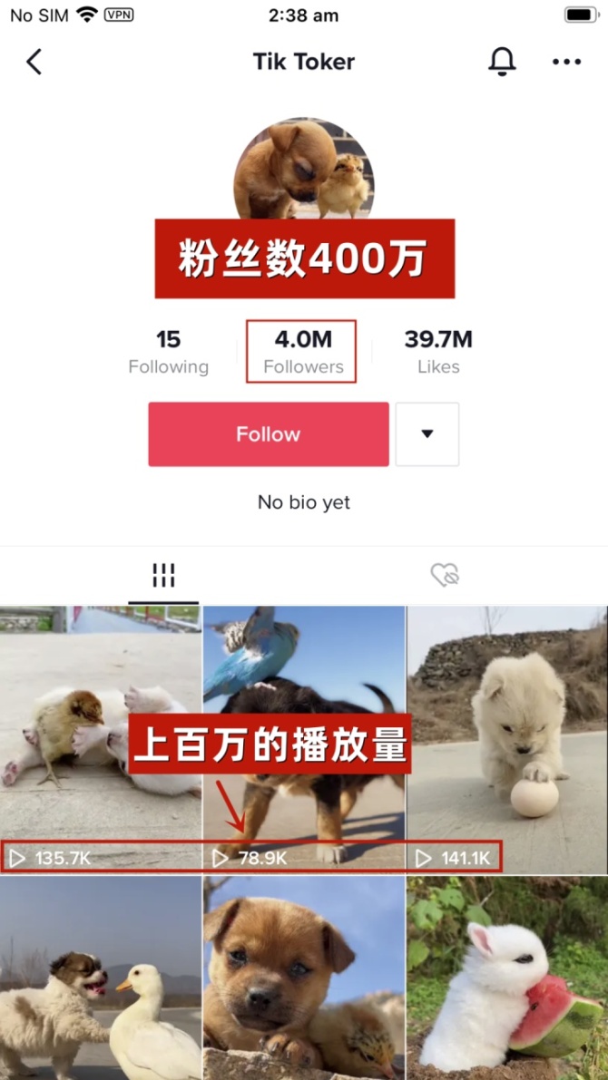动感网络科技, 海外抖音一个星期能赚多少钱？tik tok做啥赛道好