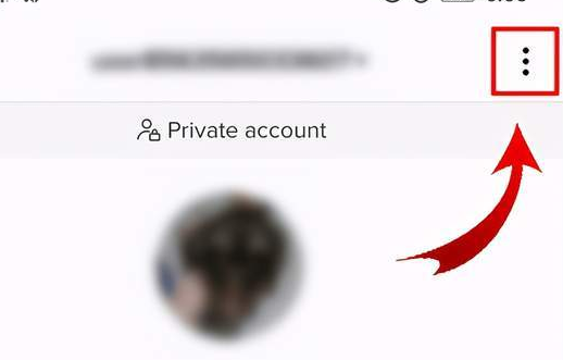 动感网络科技, tiktok直播礼物多少钱,tiktok可以做主播刷礼物吗