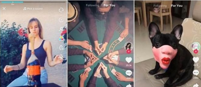 动感网络科技, tiktok小白能做吗？tiktok爆款文案怎么写容易上热门
