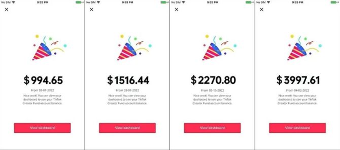 动感网络科技, tiktok搬运一天多少钱，tiktok从国内搬运视频犯法吗