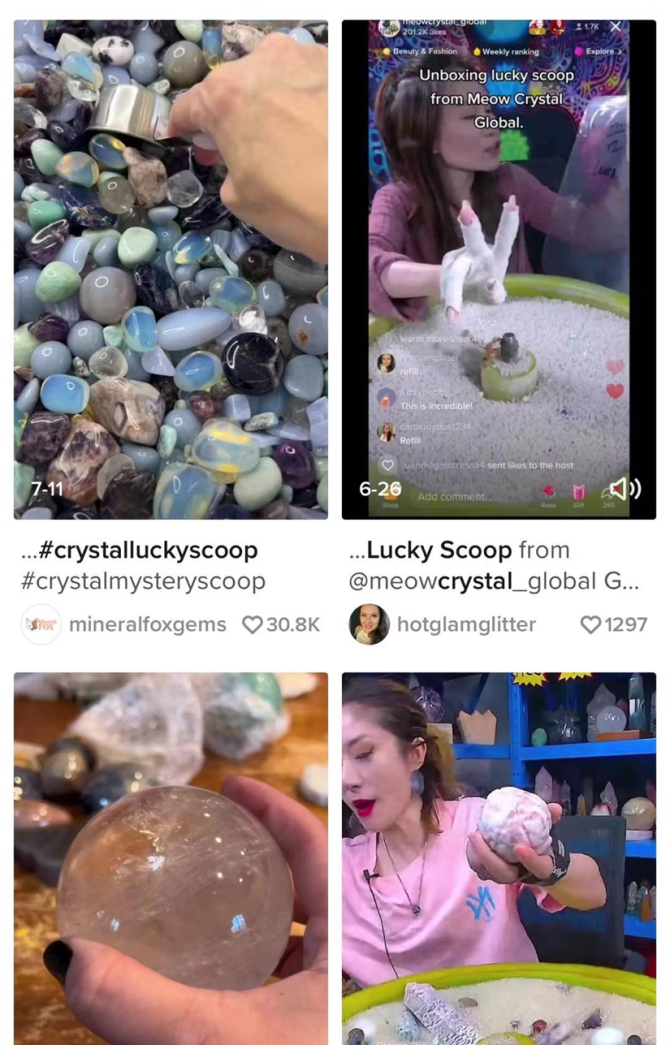 动感网络科技, TikTok根本赚不到钱，还不如教人赚钱！