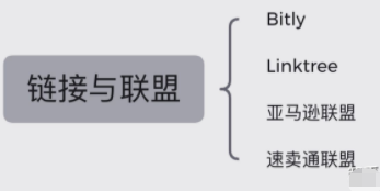 动感网络科技, tiktok在中东地区有多火？中东地区做tiktok带货