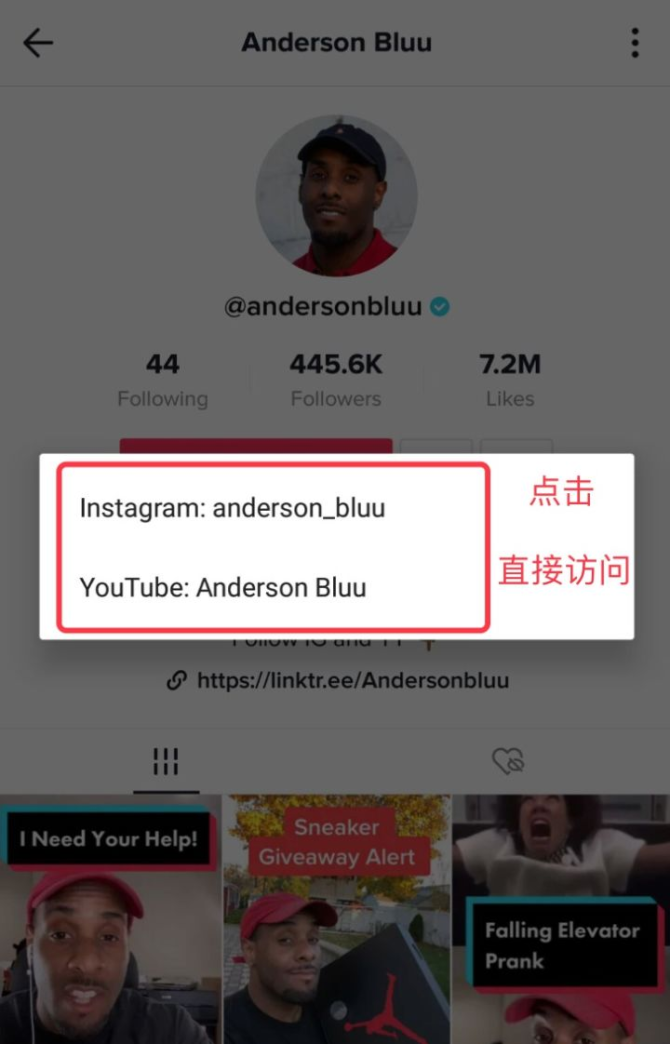 动感网络科技, tiktok怎么编辑个人资料，tiktok个人简介怎么写