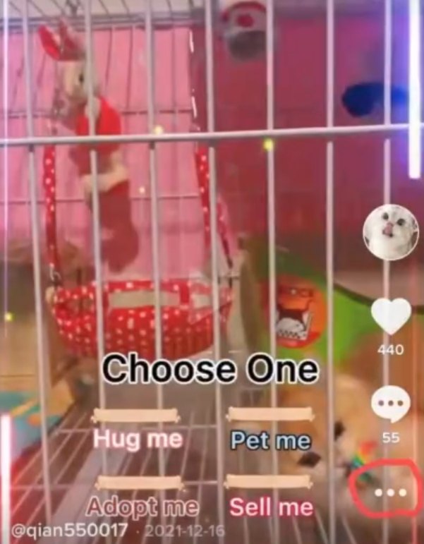 tiktok置顶功能不见了，tiktok为什么无法置顶作品