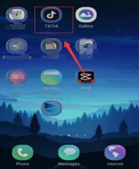 动感网络科技, 海外抖音tiktok怎么注册？国内注册tiktok快速方法