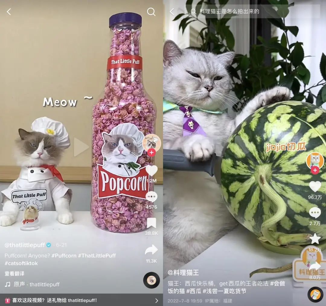 动感网络科技, tiktok最火的博主，盘点tiktok最受欢迎博主2023