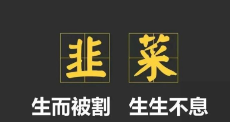 动感网络科技, tiktok可以做不？海外版抖音TikTok智商税解惑
