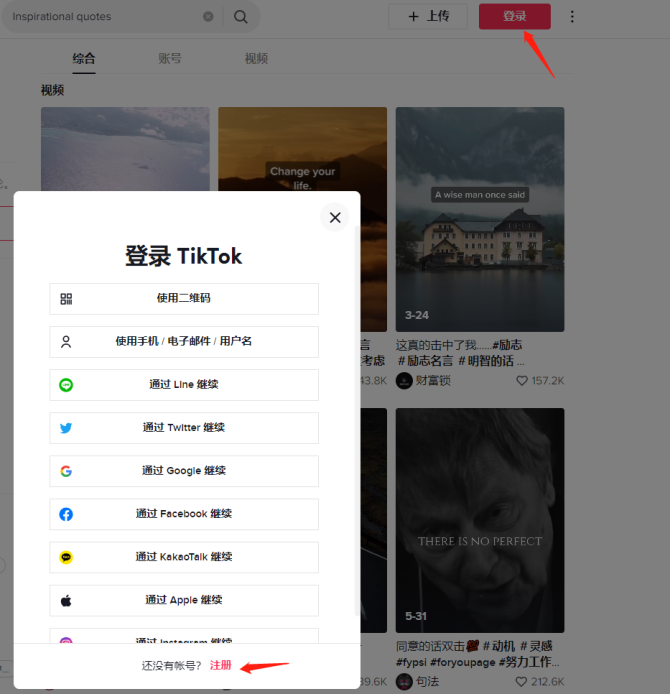 动感网络科技, 适合新手小白的海外抖音TikTok项目