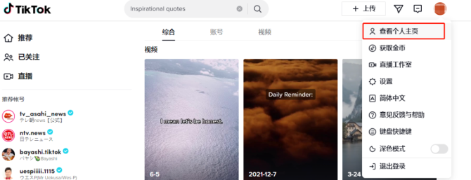动感网络科技, 适合新手小白的海外抖音TikTok项目