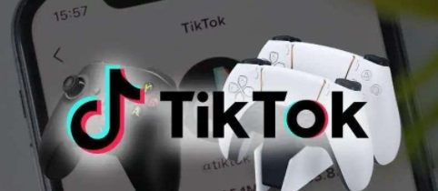 动感网络科技, TikTok小程序赚钱是真的吗？有图有真相