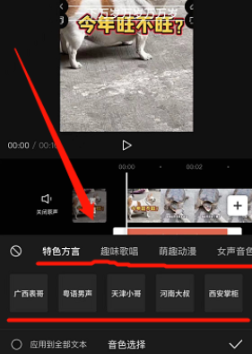 动感网络科技, 小白轻松通过中视频计划，动物方言搞笑配音项目拆解
