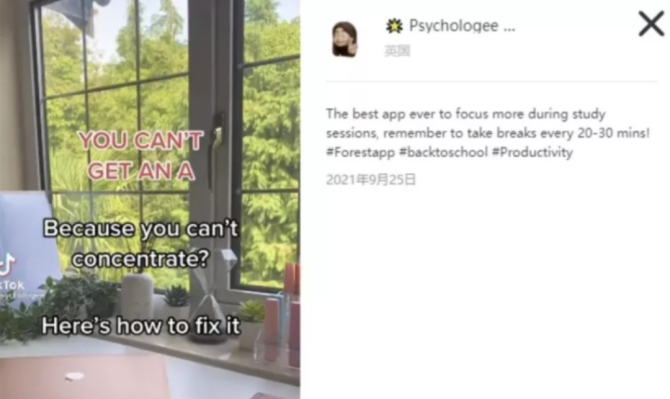 动感网络科技, TIKTOK分享:现状、玩法、机会点