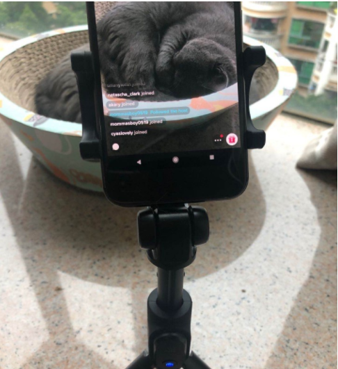 动感网络科技, TikTok起号的内容选择问题及低播放账号拯救方案