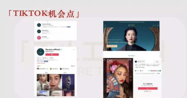动感网络科技, TIKTOK分享:现状、玩法、机会点