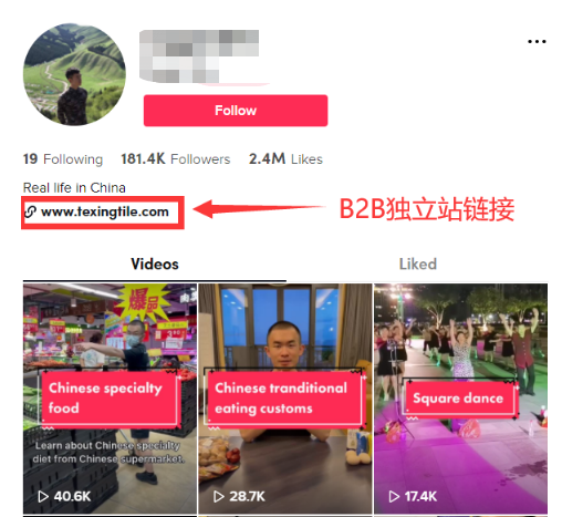 动感网络科技, 跨境出海先做TikTok小店还是独立站？攻略来了