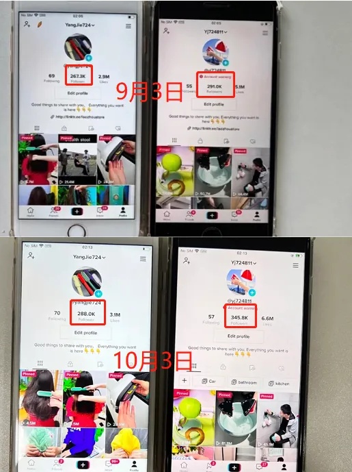 动感网络科技, tiktok泰国小店手续费多少？收益怎么样？