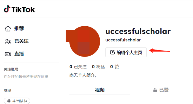 动感网络科技, 适合新手小白的海外抖音TikTok项目