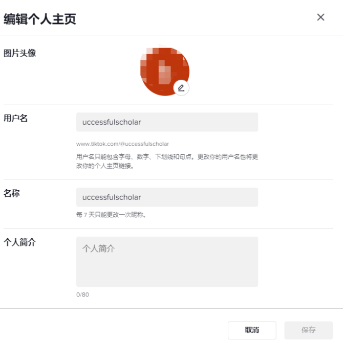 动感网络科技, 适合新手小白的海外抖音TikTok项目