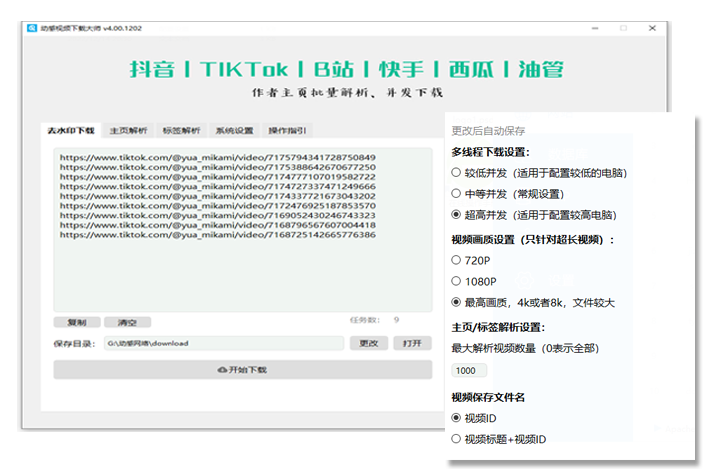 动感视频下载大师