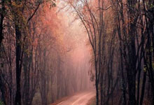 Python调用百度OCR接口图片识别转文字