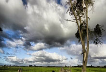 php获取客户端ip地址及ip所在国家、省份、城市、县区